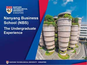 Graphic Design Portfolio: Nanyang Business School poster 2